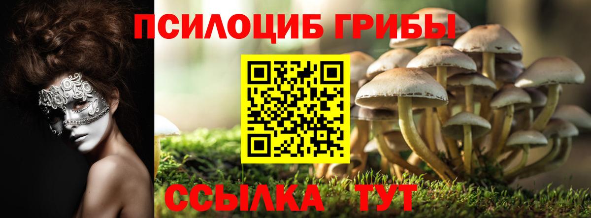 Бахчисарай  Галлюциногенные грибы Cubensis  Вход с VPN 
